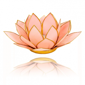 Teelichthalter - Capiz Muschel - Lotus Licht - Rosa pastell mit Gold - ca. 13,5x5,5 cm