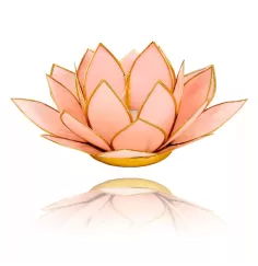Teelichthalter - Capiz Muschel - Lotus Licht - Rosa pastell mit Gold - ca. 13,5x5,5 cm