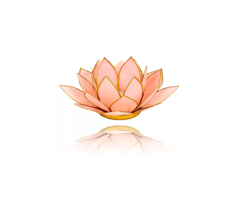 Teelichthalter - Capiz Muschel - Lotus Licht - Rosa pastell mit Gold - ca. 13,5x5,5 cm