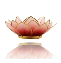 Teelichthalter - Capiz Muschel - Lotus Licht - Rot/Rosa/Weiß mit Gold - ca. 13,5x5,5 cm