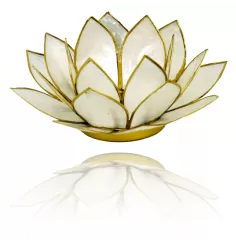 Teelichthalter - Capiz Muschel - Lotus Licht - Weiß mit Gold - ca. 13,5x5,5 cm