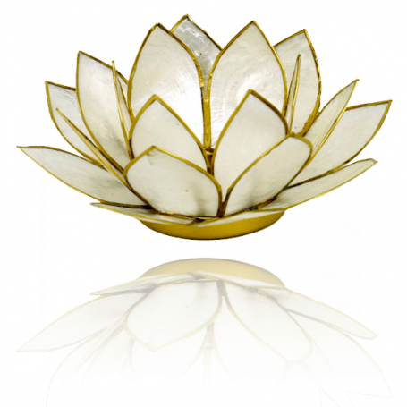 Teelichthalter - Capiz Muschel - Lotus Licht - Weiß mit Gold - ca. 13,5x5,5 cm