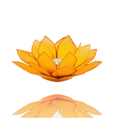 Lotus Capiz Licht Capiz - goldgelb (Chakra 3) mit goldfarbige Rand