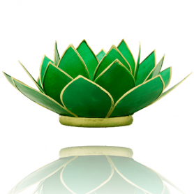 Lotus Capiz Licht- smaragdgrün (Chakra 4) - mit goldfarbige Rand