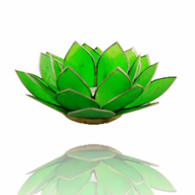 Lotus Capiz Licht- smaragdgrün (Chakra 4) -mit Silberrand