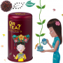 Or Tea? - Queen Berry - Bio - Hibiskus-Früchtemelange Tee - lose - Dose - 100gr