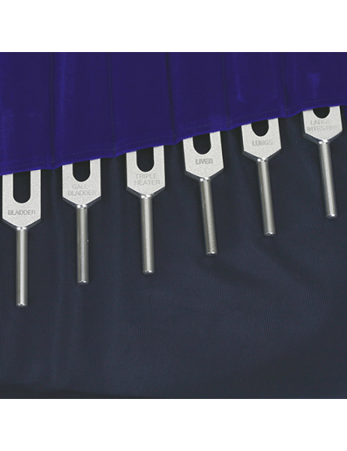 Stimmgabel - Meridian Set - 12 Meridiane + 2 zen. Gefäße - aus Aluminium - 14 er Set - ca. 40x37 cm