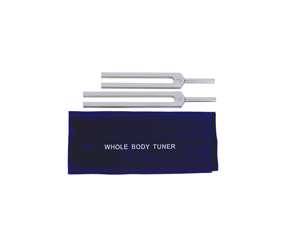 Stimmgabel - C + G Set - für den ganzen Körper - aus Aluminium - 2 er Set - ca. 23x10 cm