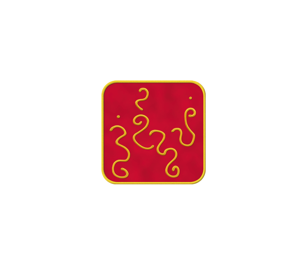 Ingrid Auer - TS - Symbol Idealismus
