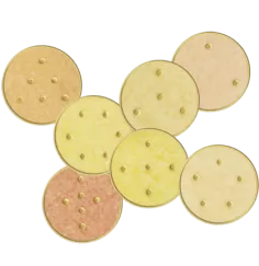 Ingrid Auer - Engel-Kombisymbol-Set No. 09 Saniel