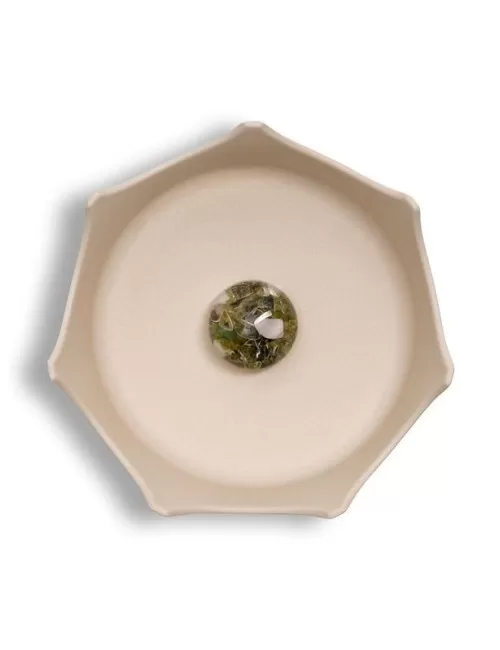 VitaJuwel - Wasserschale (Tiernapf) Crownjuwel - natural white