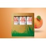 Forever - Forever Aloe Peaches™ - Tripack - Aloedrink mit süßen Pfirsichen - 3 x 1 Liter