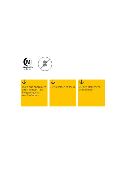 Forever - Forever Garlic-Thyme® - Nahrungsergänzungsmittel - geruchloses Knoblauchkonzentrat - 100 Kapseln