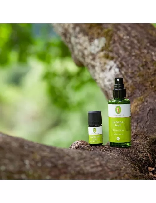 Primavera - Duftmischungen - Lebenslust Duftmischung - 5 ml