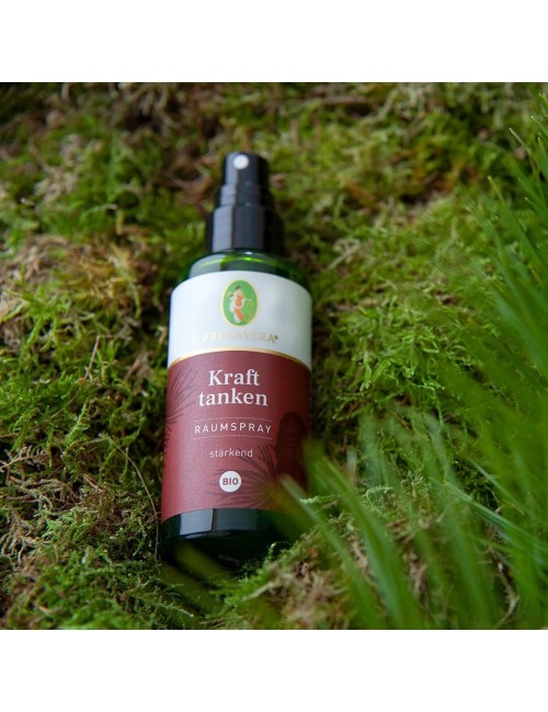 Primavera - Raumspray - Kraft tanken Raumspray bio - 50 ml