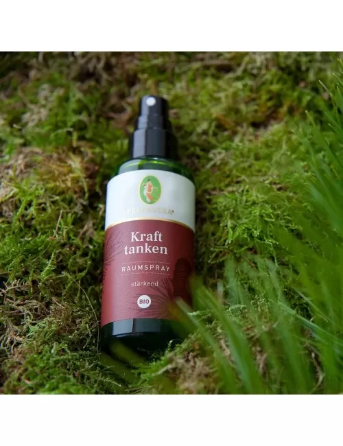 Primavera - Raumspray - Kraft tanken Raumspray bio - 50 ml