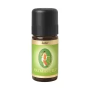 Primavera - Ätherische Öle - Zeder bio - 5 ml