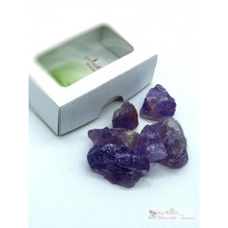 One World Minerals - Amethyst Wassersteine - Schachtel mit Sichtfenster - quintESSENCE Wassersteine