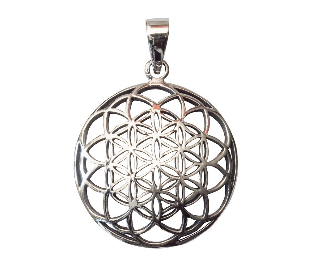 Anhänger -  Saat des Lebens- Bronze versilbert 3,6g 2,5cm