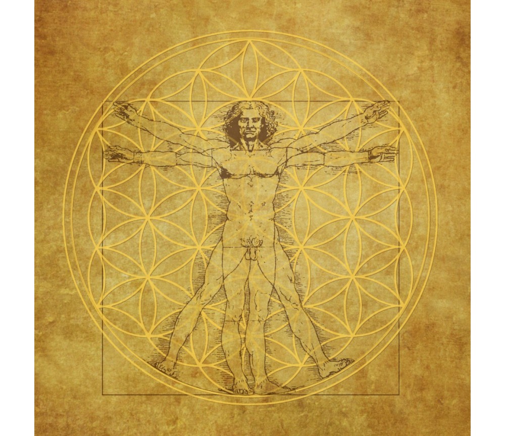 Leinwanddruck - Blume des Lebens- Vituv-Da Vinci 40x40cm