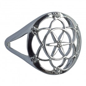 Ring "Saat des Lebens" Silber 925 mit 7 Zirconia 2