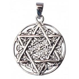 Anhänger "Blume des Lebens mit Hexagram" Silber 925 8