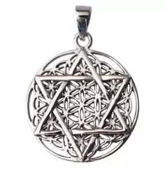 Anhänger - Blume des Lebens mit Hexagram- 925 Silber 8,2