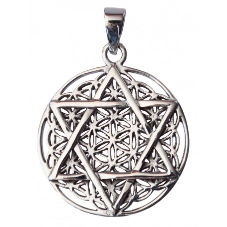 Anhänger "Blume des Lebens mit Hexagram" Silber 925 8