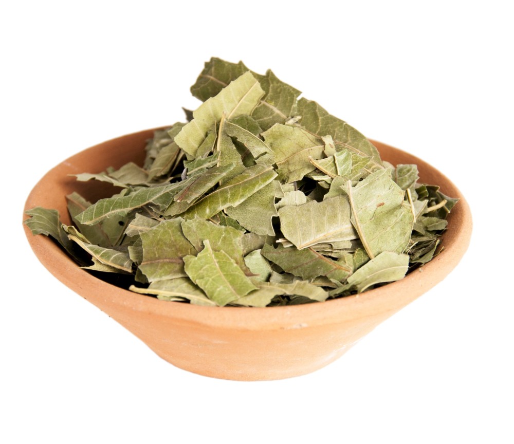 Holy Smokes - Räucherwerk in Tüten - Neemblätter