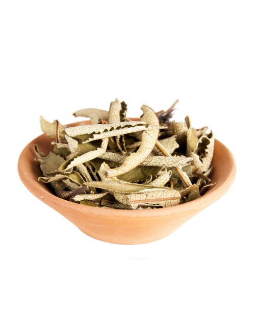 Holy Smokes - Räucherwerk in Tüten - Yerba Santa