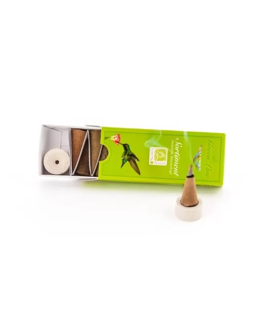 Holy Smokes - RäucherKegel - Sortiment - Green Line - 8 Packs - 1x je Sorte