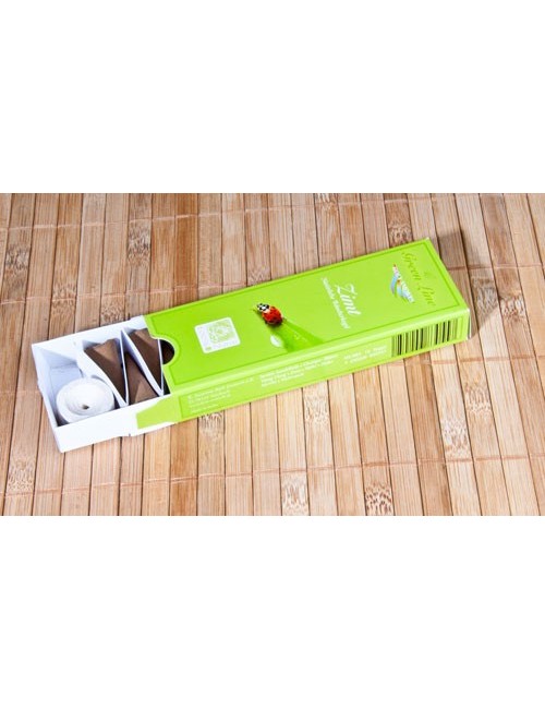 Hoy Smokes - Räucherkegel - Green Line - Zimt