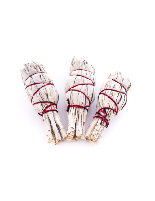 Smudge Bündel Mini - weißer Salbei 3 erPack - ca.10 cm