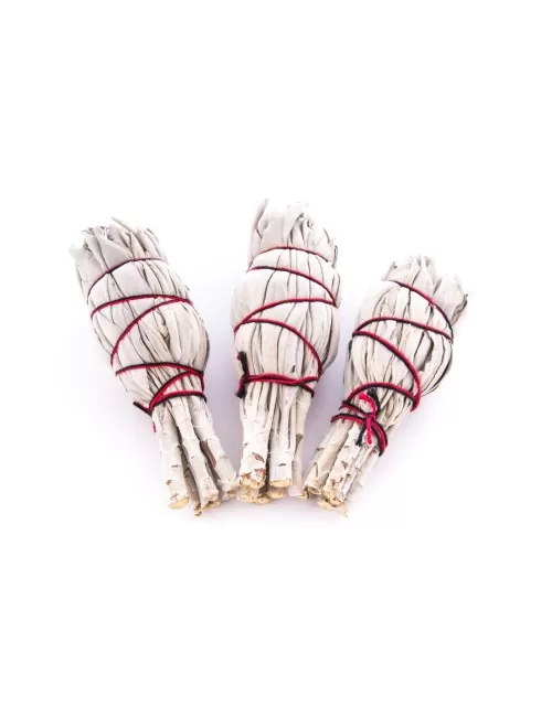 Smudge Bündel Mini - weißer Salbei 3 erPack - ca.10 cm