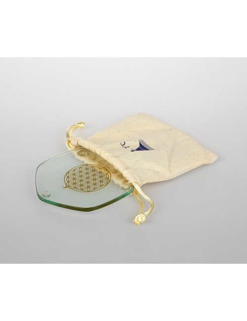 Voyagerplatte Golden 9 cm, im Beutel zum mitnehmen