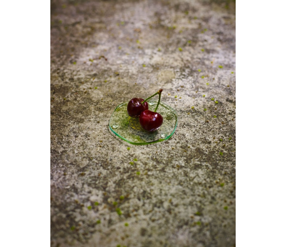 Voyagerplatte Golden 9 cm, im Beutel zum mitnehmen