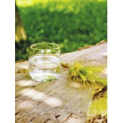 Mythos Gläserset - Blume des Lebens gold - 6 er Pack