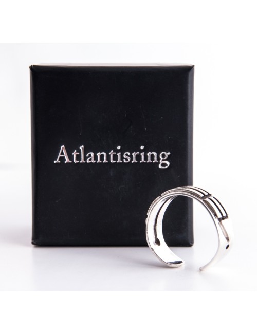 Ring - Atlantisring Herren vergoldet