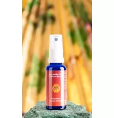 Ayurvedisches Energie-Spray - Chakra 1 - Wurzel Chakra (Muladhara)