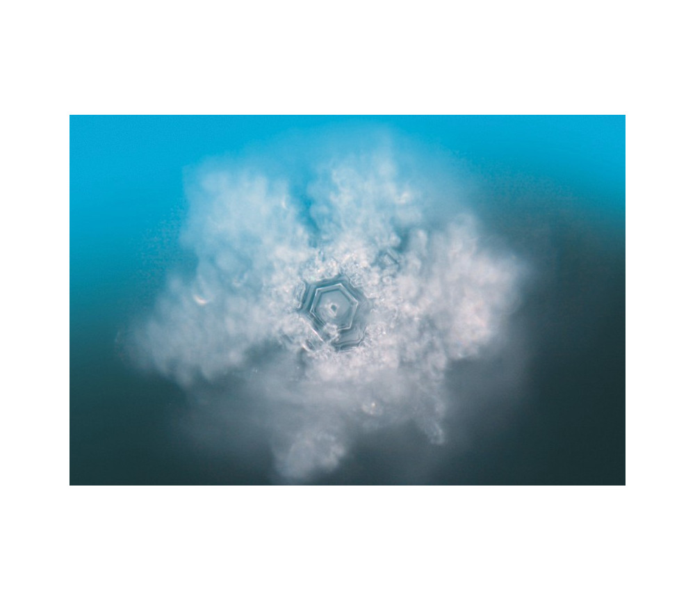 Seelentor Essenzen - Goldene Essenz - Goldener Schutz 50 ml