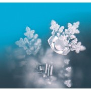 Seelentor Essenzen - Goldene Essenz - Goldener Schutz 50 ml