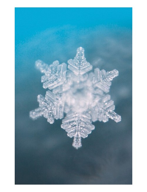 Seelentor Essenzen - Türkise Essenz - Freiheit & Klärung 50 ml