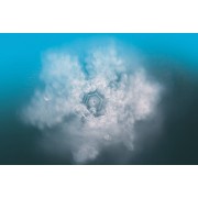 Seelentor Essenzen - Türkise Essenz - Freiheit & Klärung 50 ml