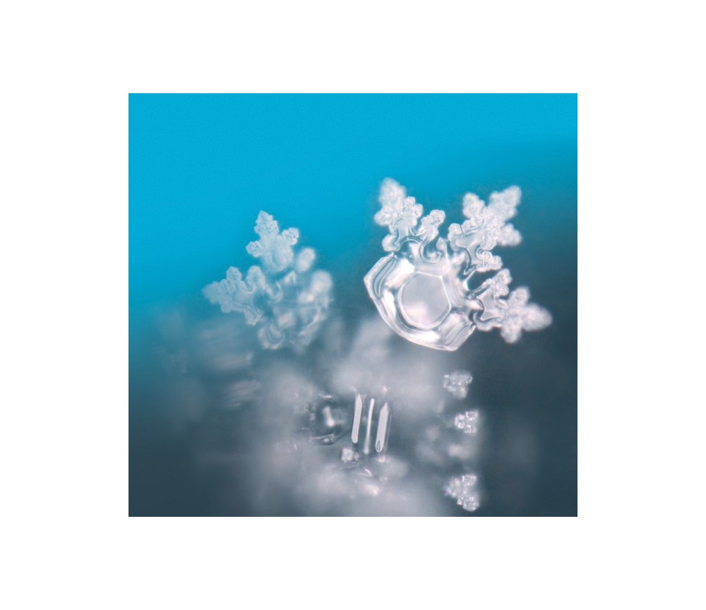 Seelentor Essenzen - Weiße Essenz - Achtsamkeit 50 ml