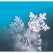 Seelentor Essenzen - Weiße Essenz - Achtsamkeit 50 ml