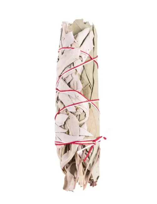 Smudge Bündel - Räucherware - Weißer Salbei & Eukalyptus - 60gr