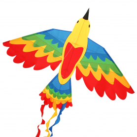 CIM - Kinderdrachen - Bird Drachen RAINBOW - Fliegender Vogel - 164 x 105 cm