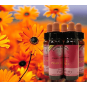Crystal Herbs - Karma / Bachblüten Essenzen Set - 10er Set