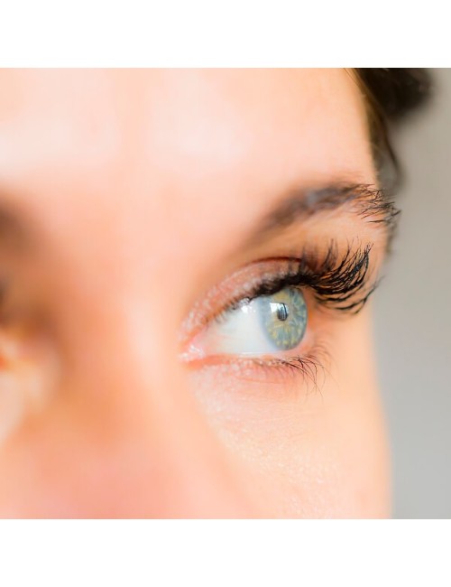 Aphro Celina - Eyebrow Serum - für dichtere, vollere Augenbrauen