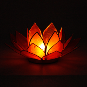 Teelichthalter - Lotus Capiz Muschel Licht - orange / gelber Farbverlauf